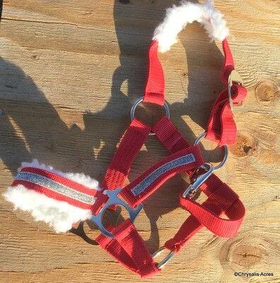 Christmas Halter - Lead Line Set