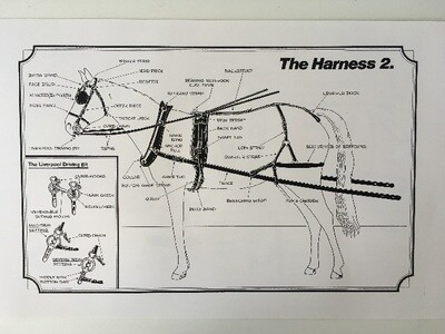 Harnessing and Carriage Driving Posters
