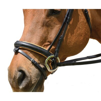 Dressage Bridle