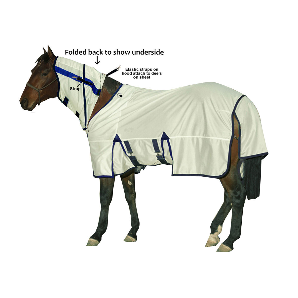 Fly Repellent Infused Fly Sheet