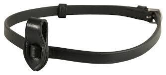 Biothane Flash Strap w/Adapter