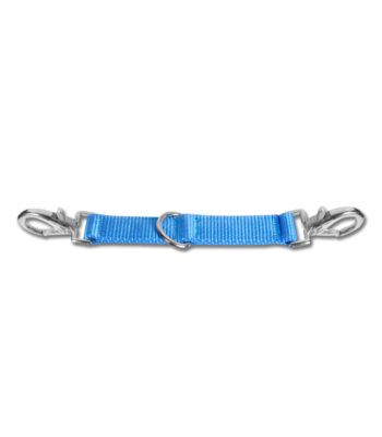 Lunging Coupler