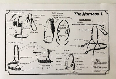 Harnessing and Carriage Driving Poster Complete Set