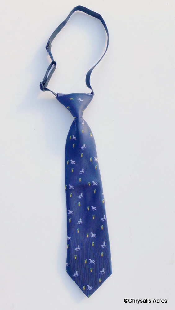 Boys Necktie