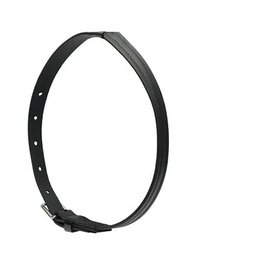 Biothane Flash Strap