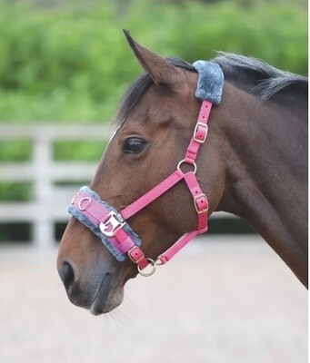 Lungeing Cavesson Halter