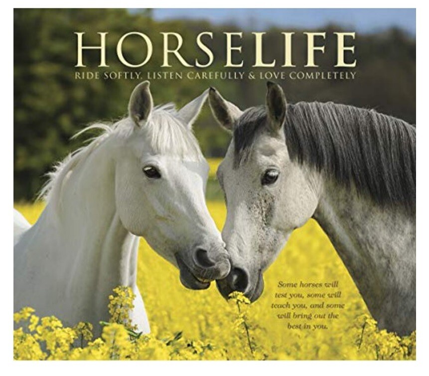 Book - HorseLife