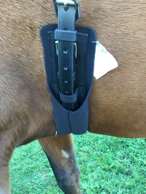Girth w/Neoprene cover