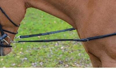 Elastic Side Reins