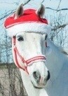Christmas Horse Apparel
