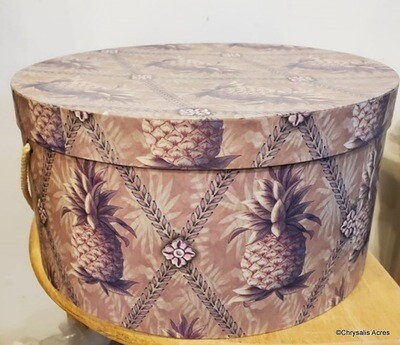 Hat Box #6