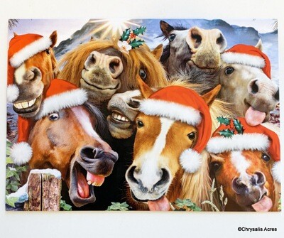 Mare Selfie Christmas Card