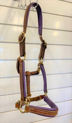 Padded Leather Halter