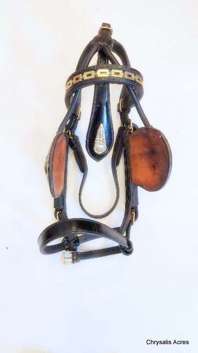 Leather Show Bridle - LG Cob/Horse size