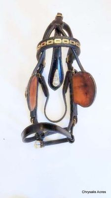 Leather Show Bridle - Cob size