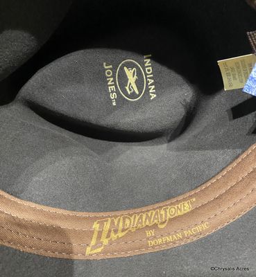 Brown Wool Fedora Hat #5