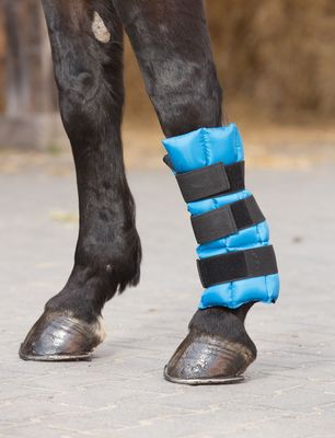 Horse Care