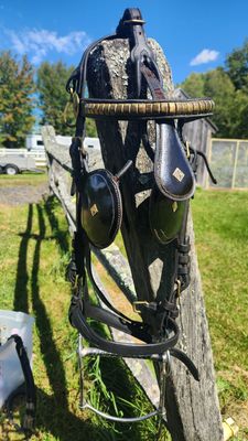 Large Pony/Cob Show Harness