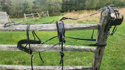 Biothane Harness - Mini A