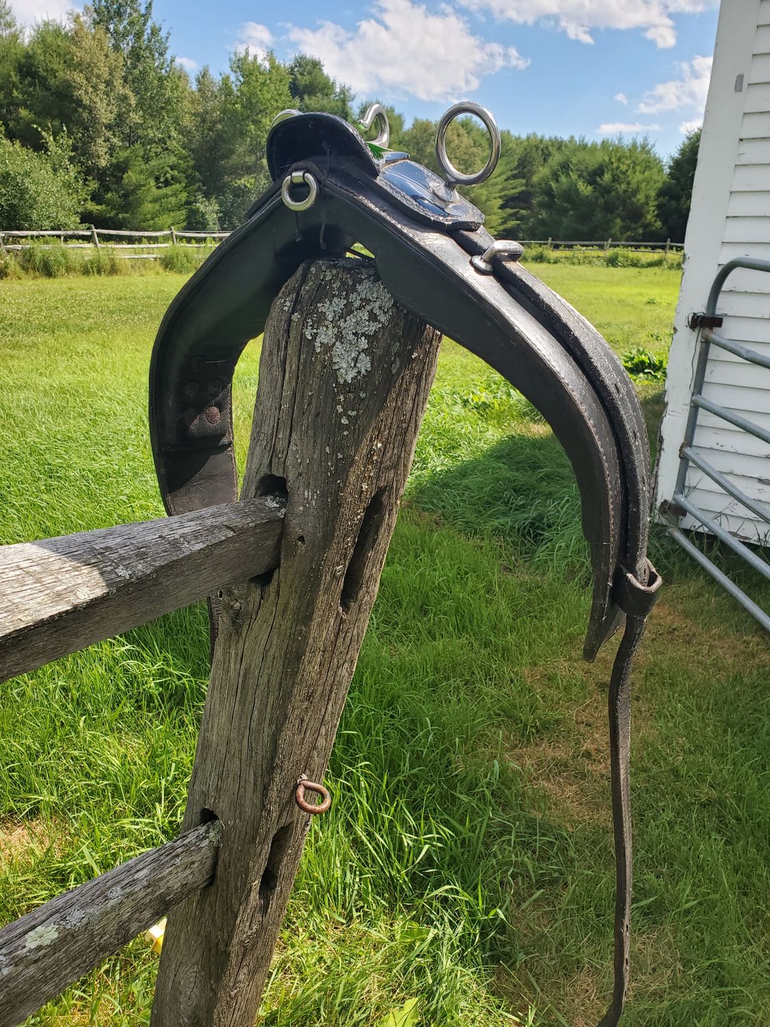 Padded Leather Saddle - Horse