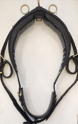Black with Brass Leather Harness - Horse Size