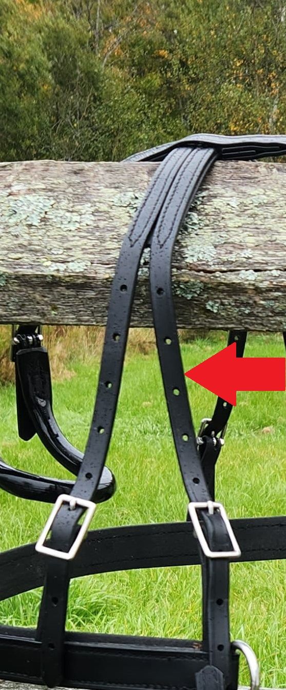 Hip Strap - Economy