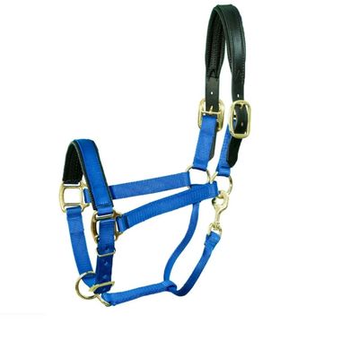 Small Pony Padded Nylon Halter w/Leather