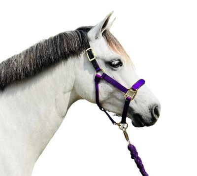 Small Pony Padded Nylon Halter w/Leather