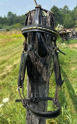 VSE Leather Bridle