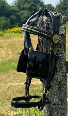 VSE Leather Bridle
