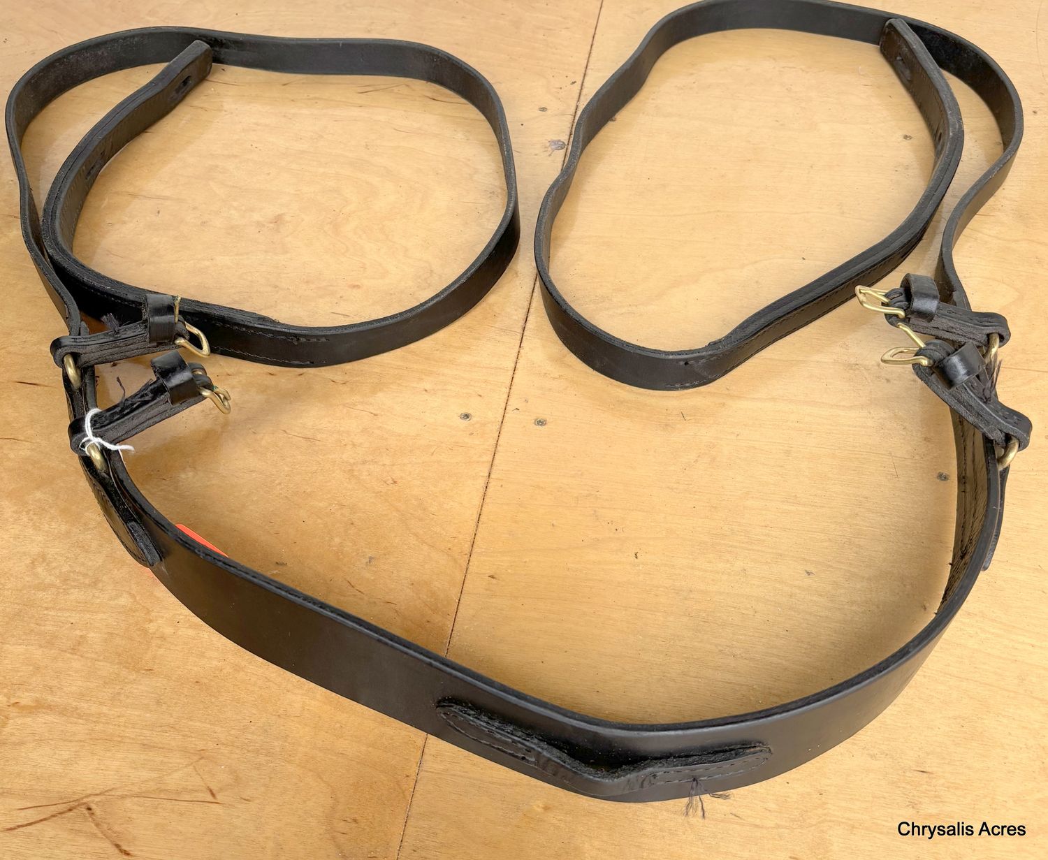 Breastcollar with Continuous Traces Mini B