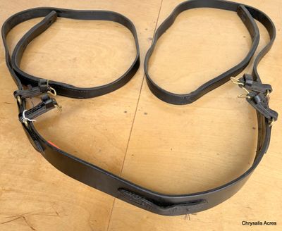 Breastcollar with Continuous Traces Mini B