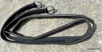 Letty's Traces 65 Letty's Traces 65" x 1.25"