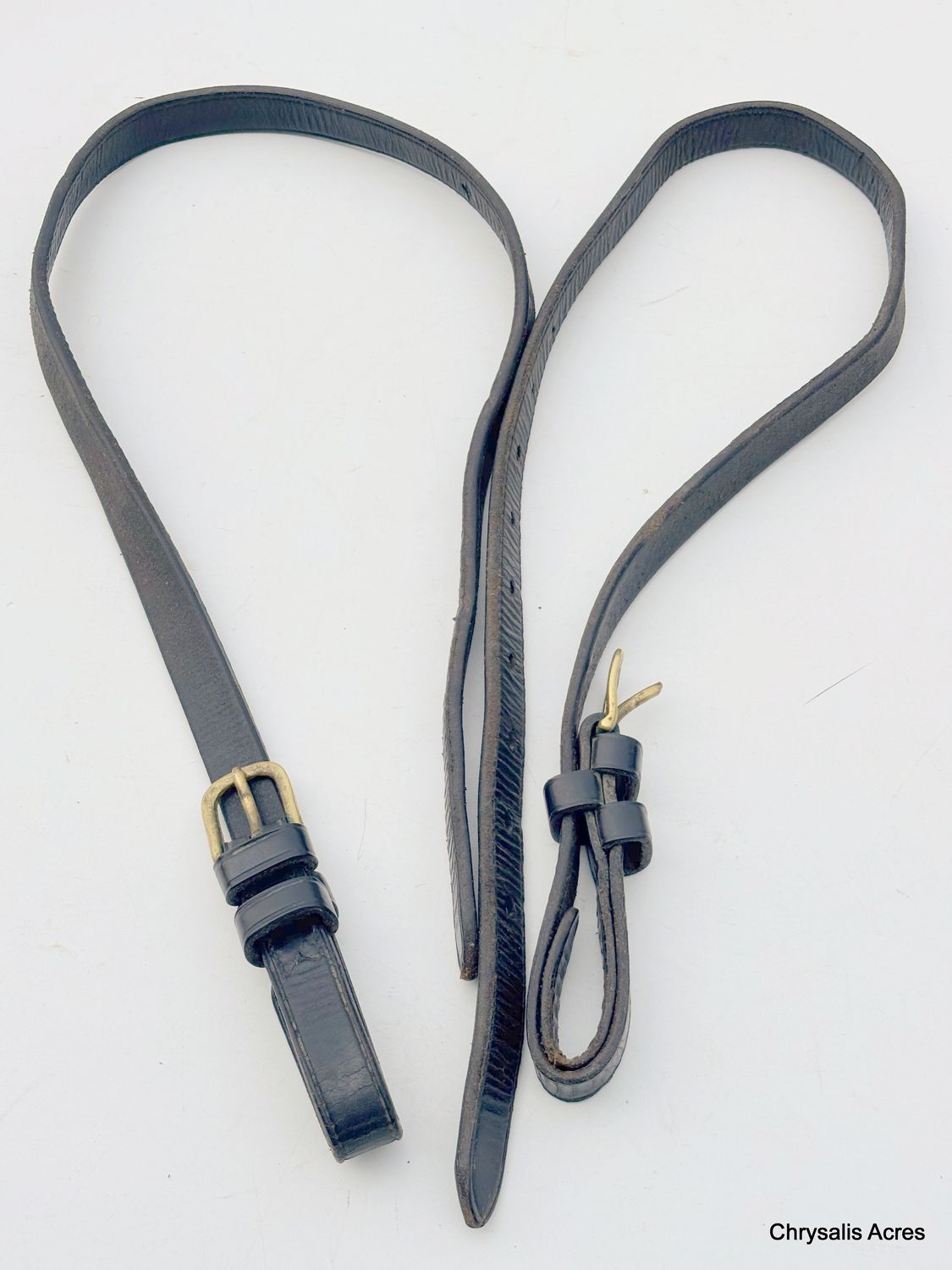 Leather Pony Hold Back Straps