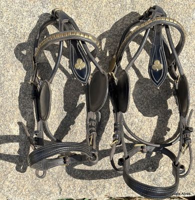 Shetland Pair Harness