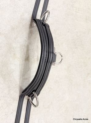 Neckstrap with D Ring
