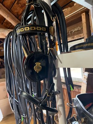 Leather Show Bridle - LG Cob/Horse size