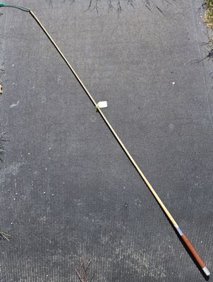 Westfield Training Whip 61"