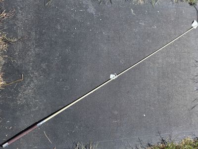 Westfield Training Whip 60"