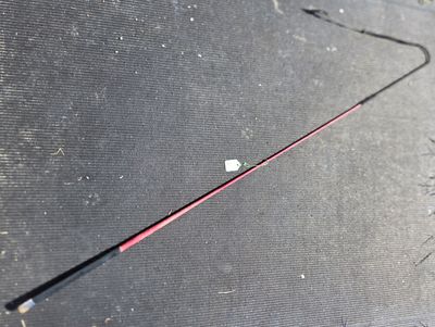 Burgundy Carriage Whip 54"