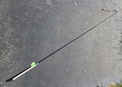 Great American Whip 60"