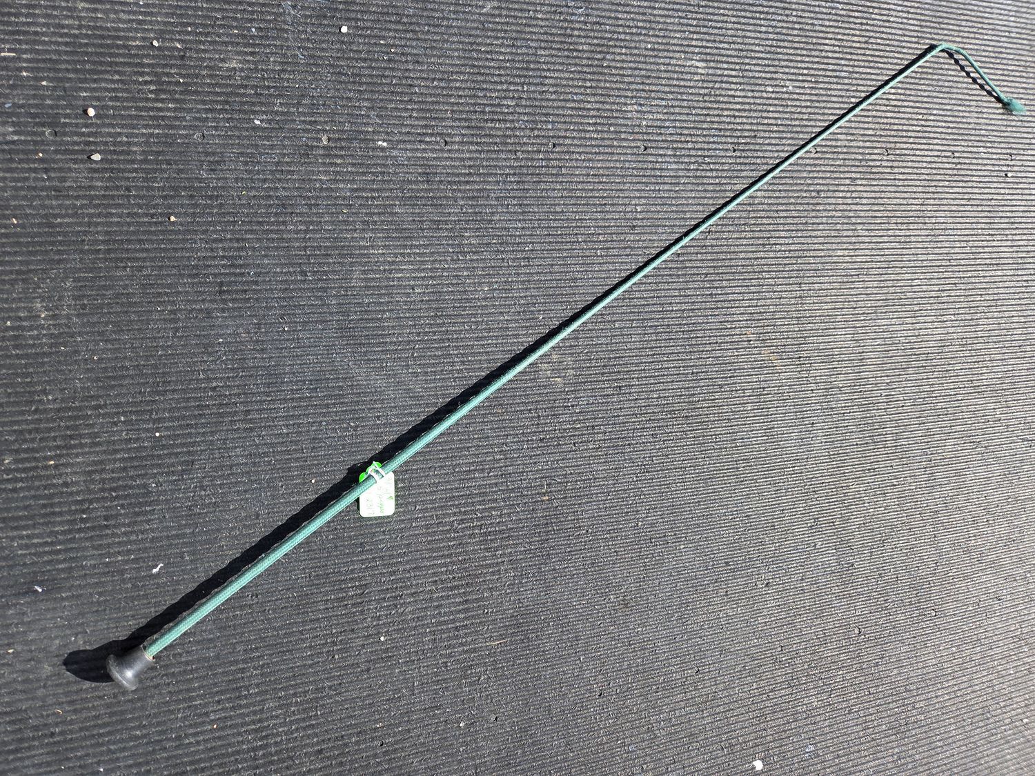 Green Dressage Whip 39"