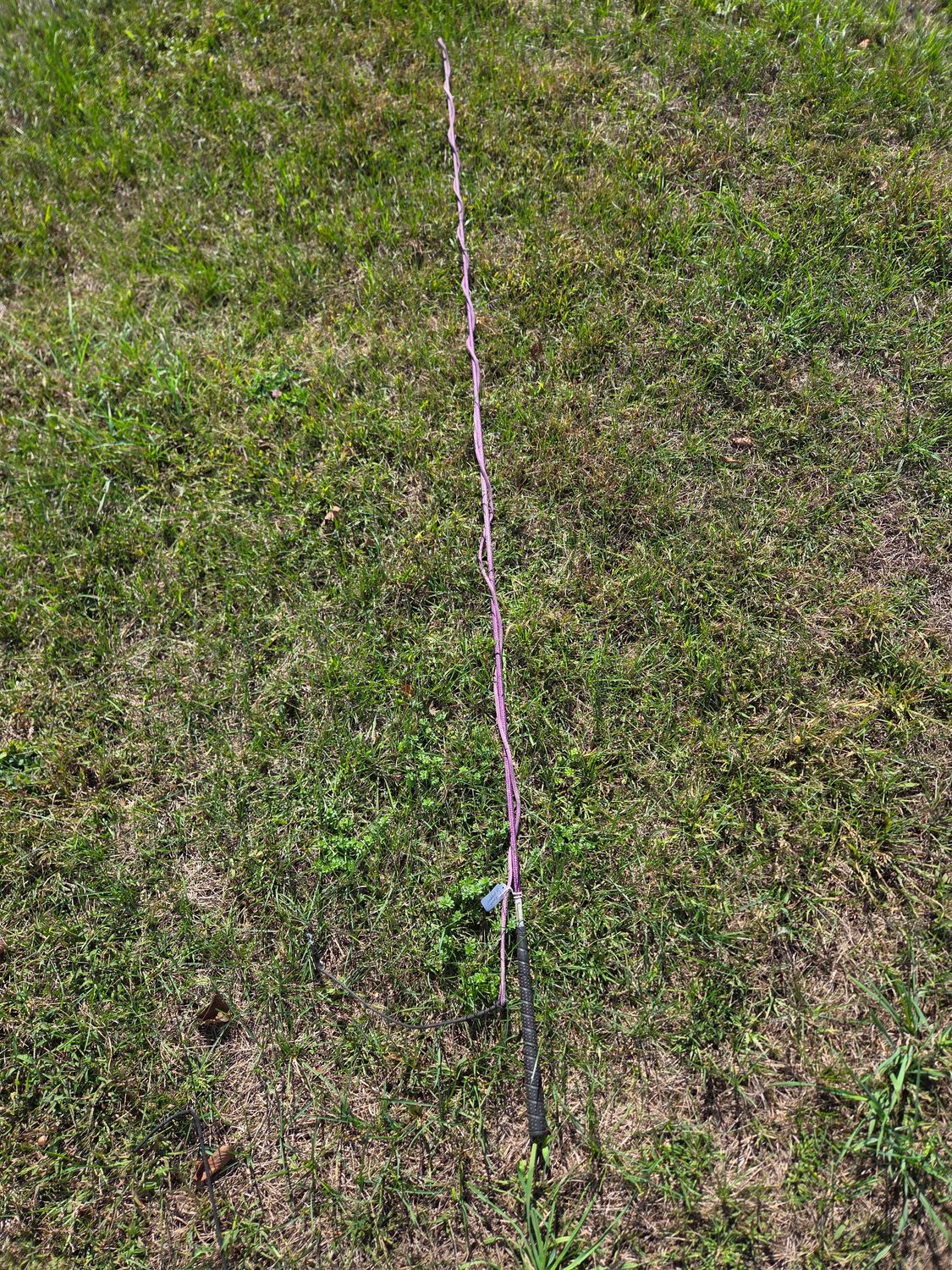 Purple Lunge Whip 90"