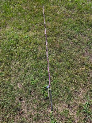 Purple Lunge Whip 90"