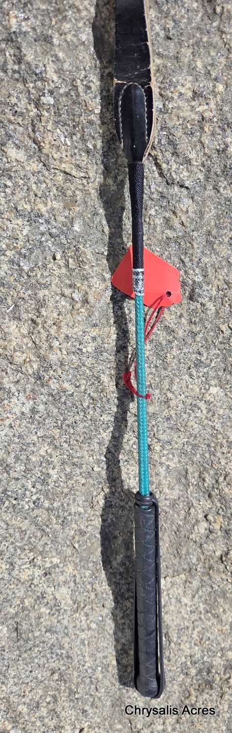 Teal Riding Crop 17"
