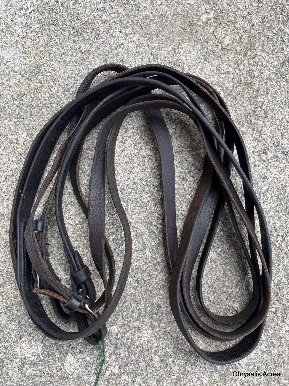 Leather Mini Reins