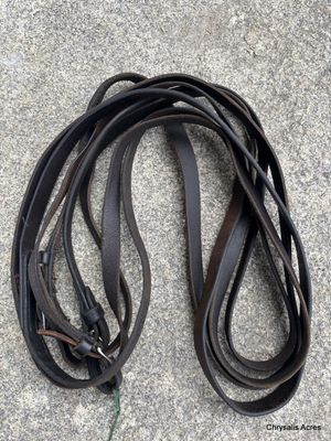Leather Mini Reins
