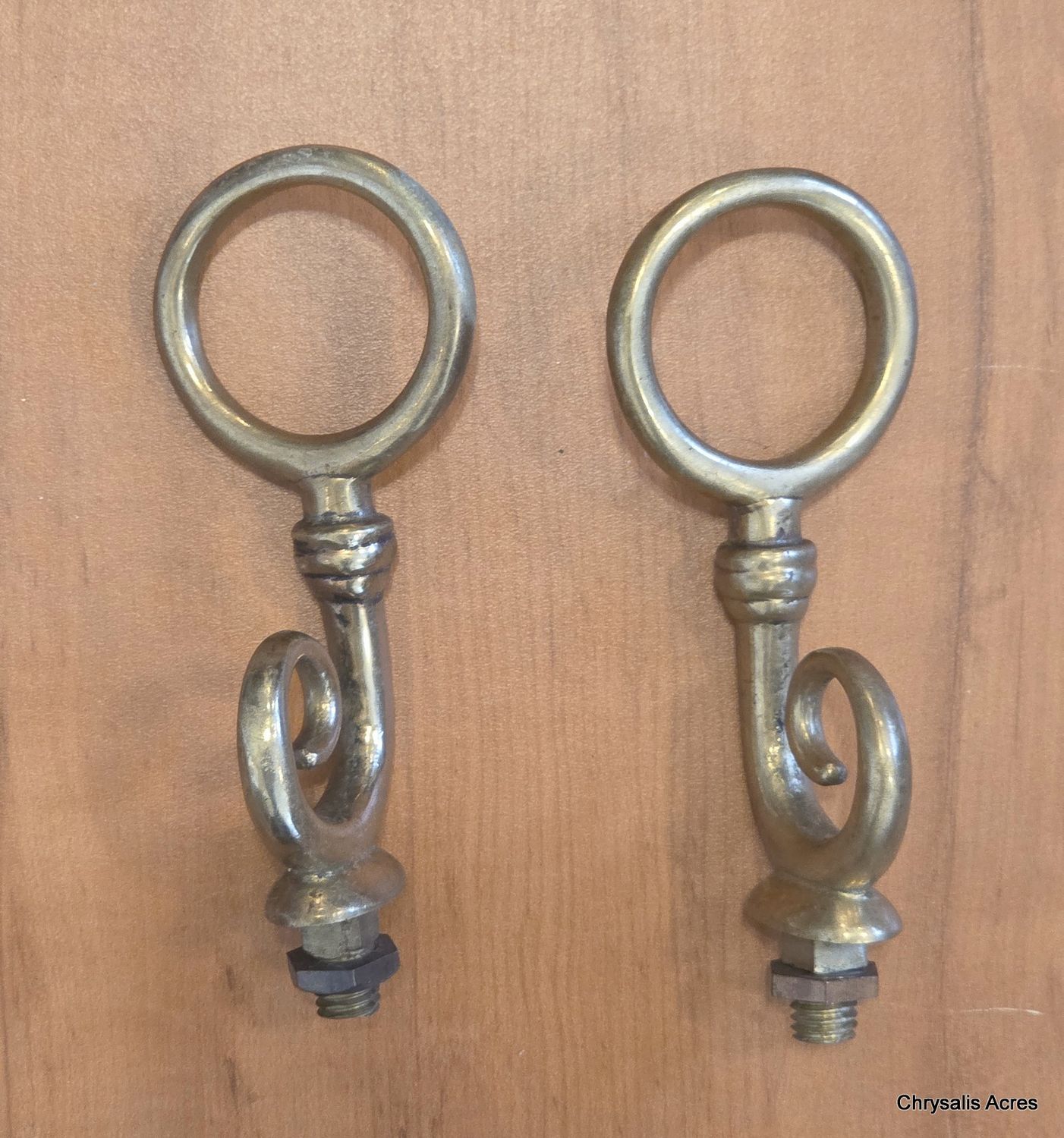 Team Terret- Short Bolt