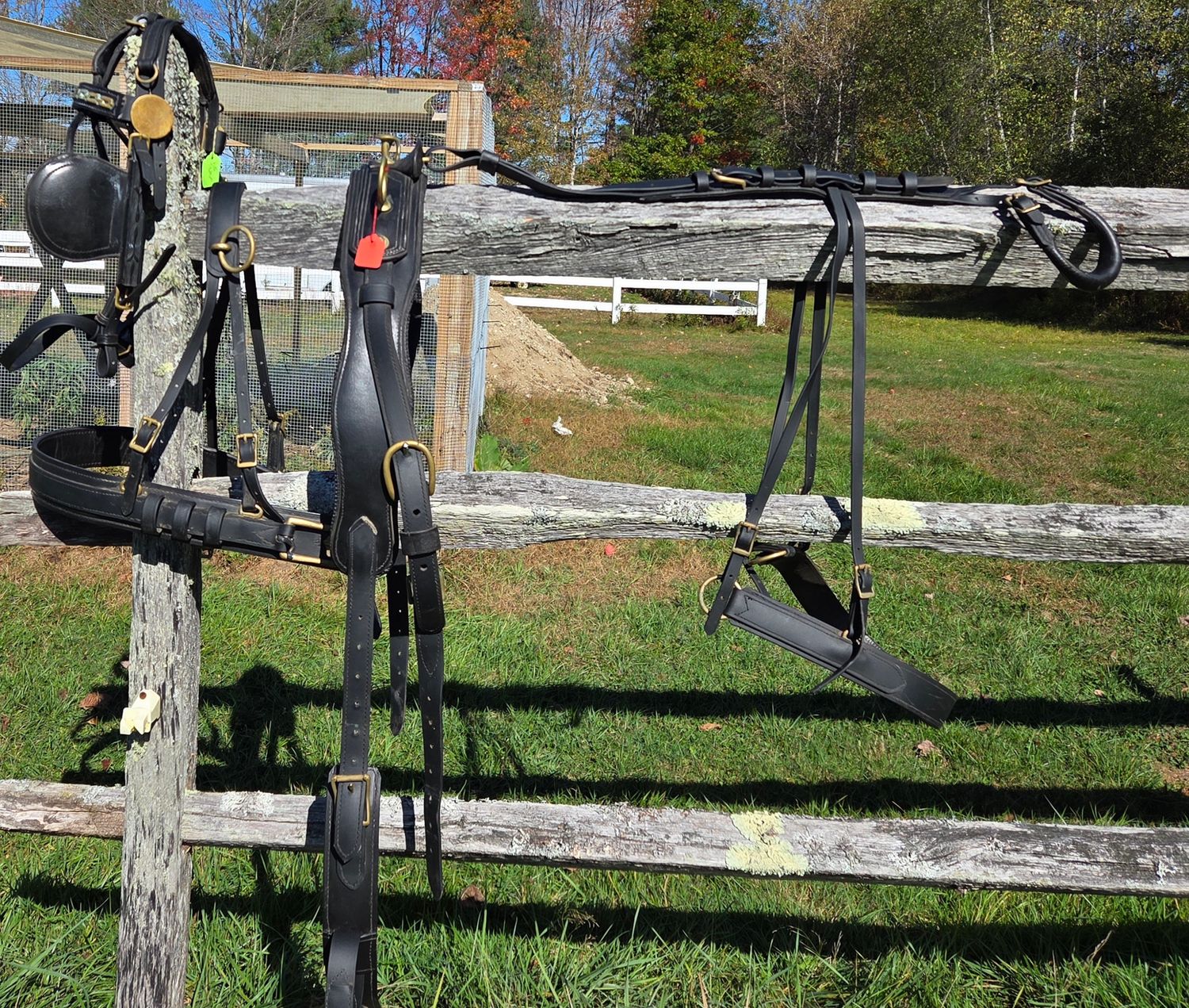 Biothane Harness Haflinger Sz