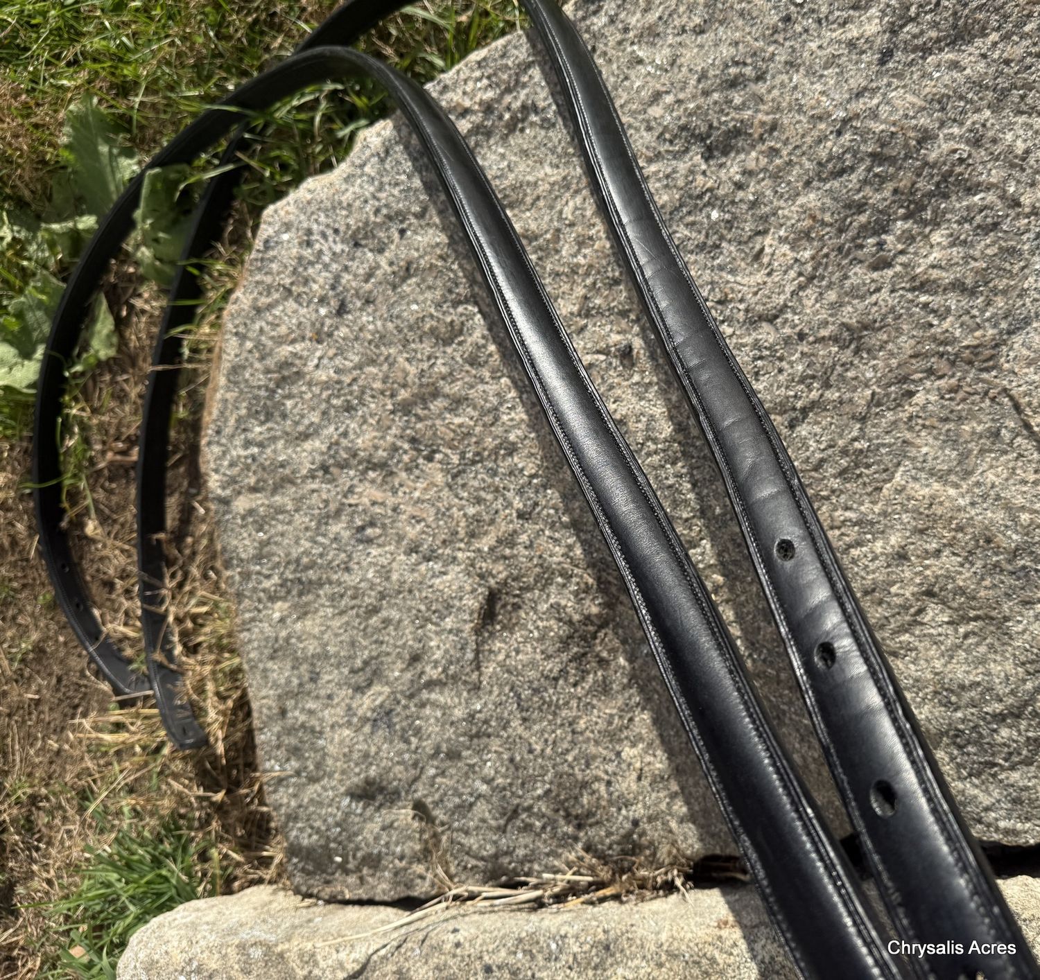 Hunts Presentation Traces 81"